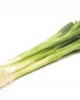 scallions.jpg